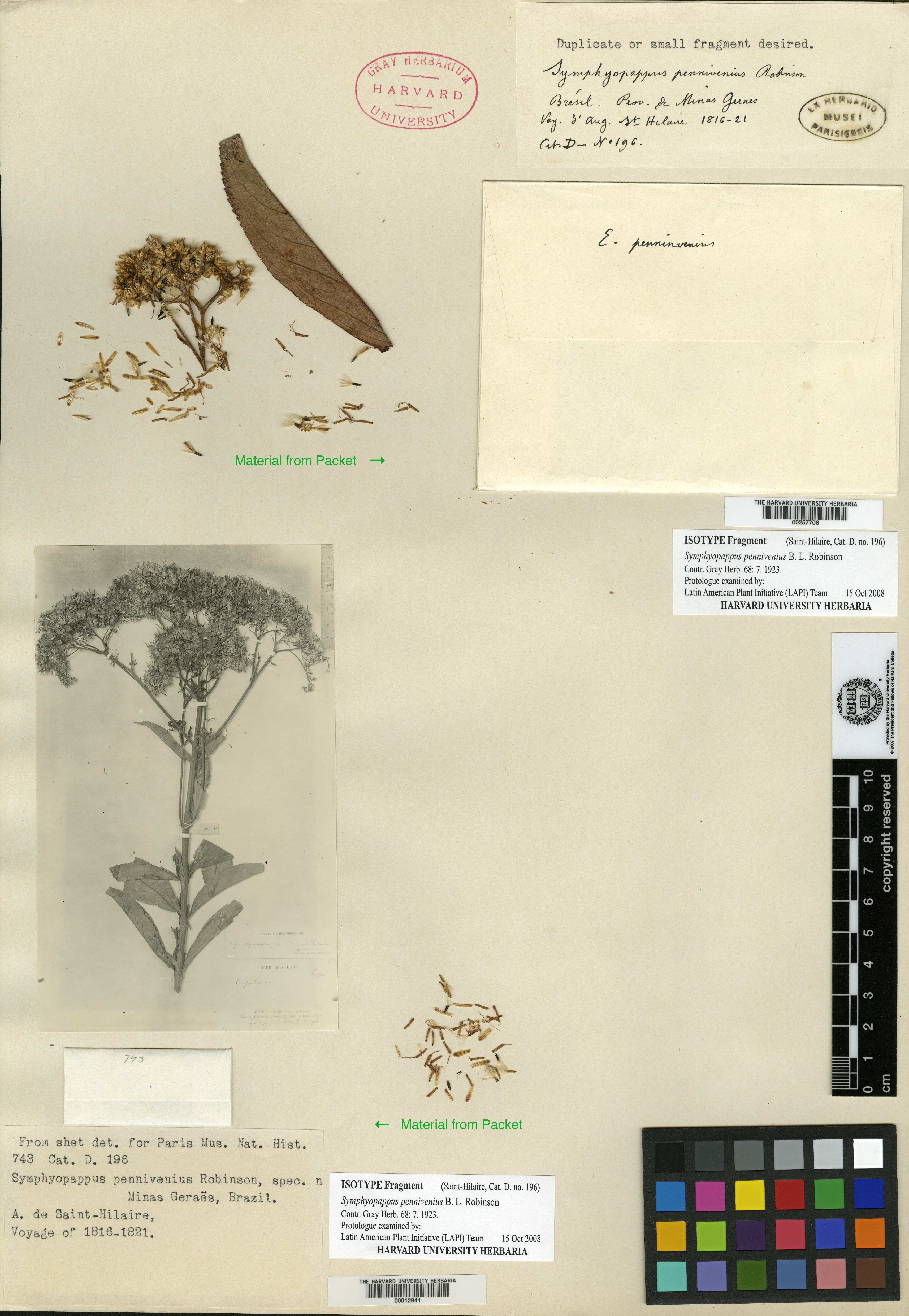 Neocabreria pennivenia image