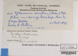 Ephemerum serratum image