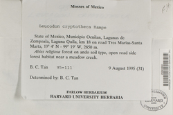 Leucodon cryptotheca image